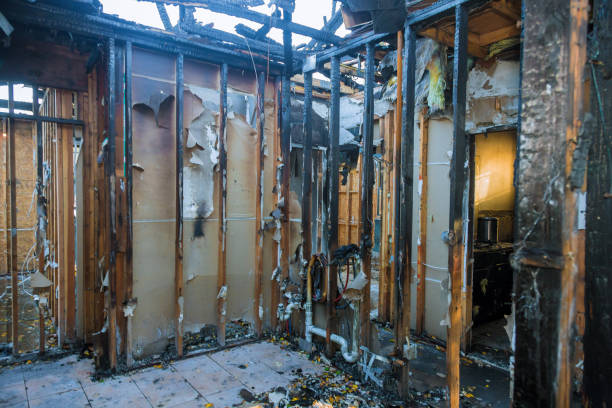 Professional Fire Damage Assessment technician working in Hawaiian Beaches, HI